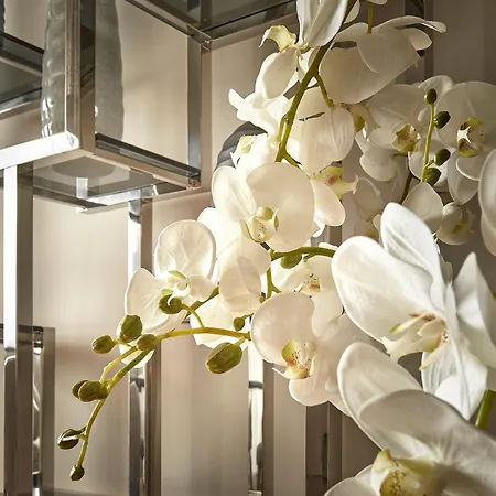 Apartment Bel Etage Living